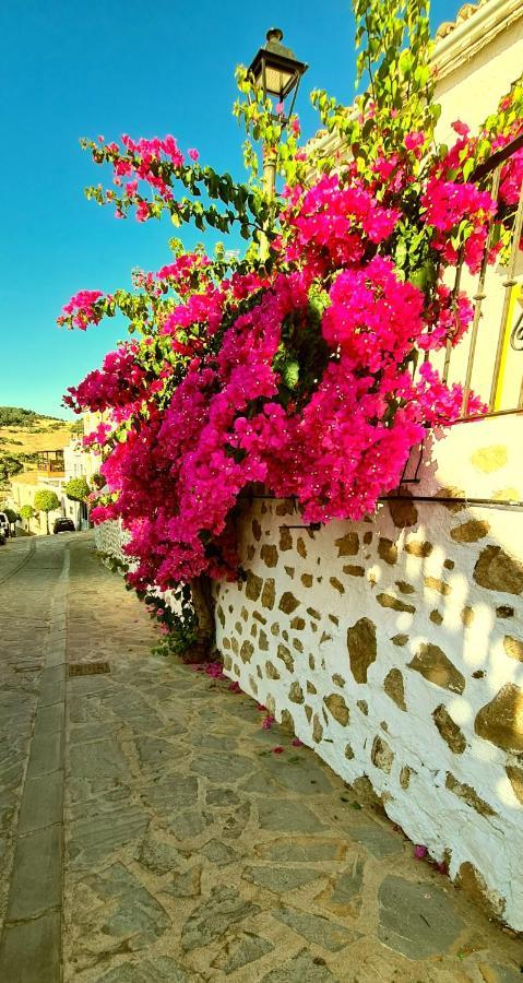 Preciosa Casa De Pueblo Entre Ronda Y Setenil La Posada De Catalina Montecorto Exteriér fotografie